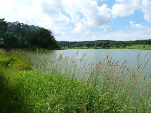 Stausee Schwickershausen