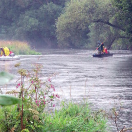 Kontrollbefischung Flussabschnitt