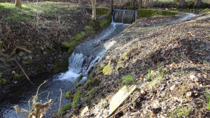 Wehr Forellenbach