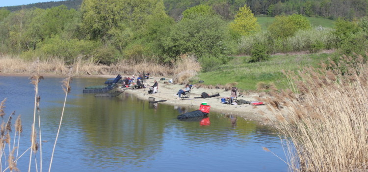 Hegefischen in Tiefengruben