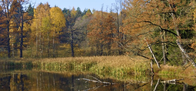 Das Problem mit den Austauschkarten für Brandenburg und Sachsen-Anhalt