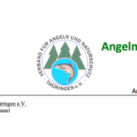 Bericht des Präsidenten – November 2016