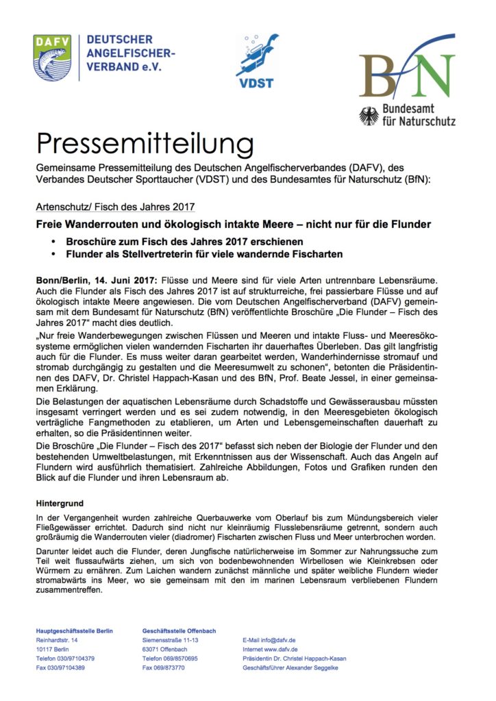 Pressemitteilung DAFV zur Flunder