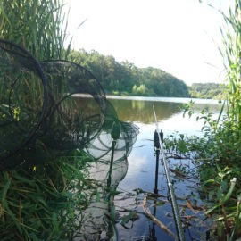 Hegefischen an der Talsperre Schwickershausen am 08. Juli 2018