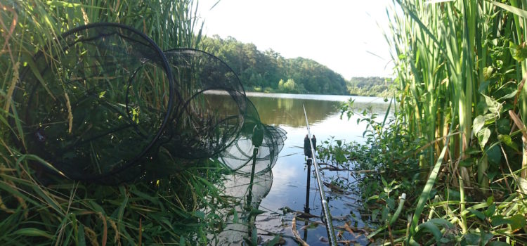 Hegefischen an der Talsperre Schwickershausen am 08. Juli 2018