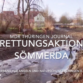 Rettungsaktion in Sömmerda 2019