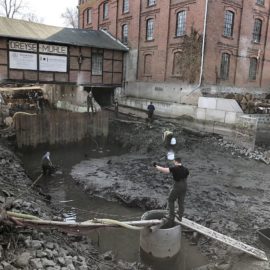 Fischrettung am Mühlendamm