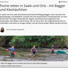 Das Laichplatzprojekt im MDR Thüringen Journal