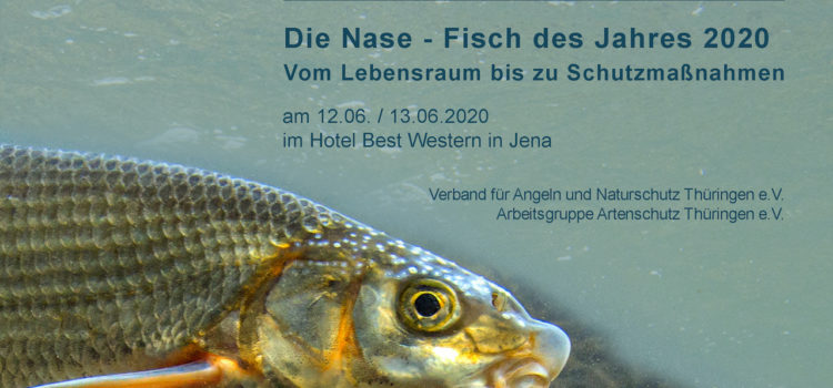 Fachtagung: Die Nase – Fisch des Jahres 2020