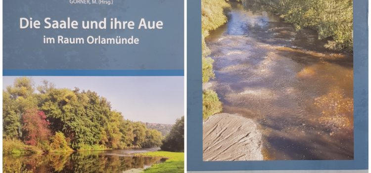 Die Saale und Ihre Aue im Raum Orlamünde